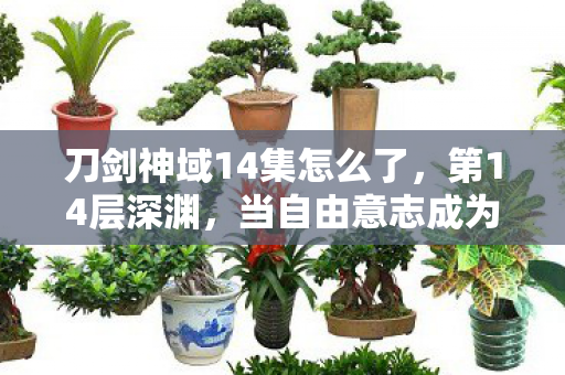 刀剑神域14集怎么了,第14层深渊,当自由意志成为命运牢笼,灵魂在悖论中震颤 刀剑神域14集怎么了,第14层深渊,当自由意志成为命运牢笼,灵魂在悖论中震颤