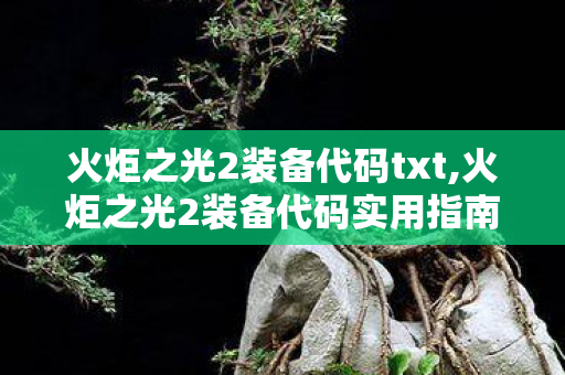 火炬之光2装备代码txt,火炬之光2装备代码实用指南,解锁老ARPG的多元玩法乐趣 火炬之光2装备代码txt,火炬之光2装备代码实用指南,解锁老ARPG的多元玩法乐趣