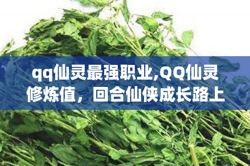 qq仙灵最强职业,QQ仙灵修炼值,回合仙侠成长路上的核心战力密钥 qq仙灵最强职业,QQ仙灵修炼值,回合仙侠成长路上的核心战力密钥