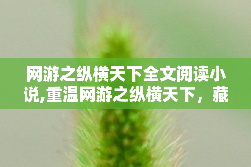 网游之纵横天下全文阅读小说,重温网游之纵横天下,藏在虚拟江湖里的热血与青春 网游之纵横天下全文阅读小说,重温网游之纵横天下,藏在虚拟江湖里的热血与青春