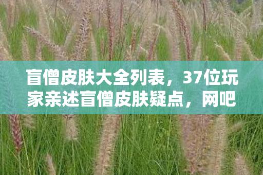 盲僧皮肤大全列表，37位玩家亲述盲僧皮肤疑点，网吧里绷不住的泪与笑