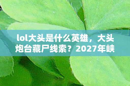 lol大头是什么英雄，大头炮台藏尸线索？2027年峡谷悬案，谁在操控我的逃亡轨迹？