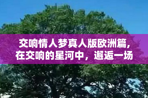 交响情人梦真人版欧洲篇,在交响的星河中,邂逅一场永不落幕的梦情人 交响情人梦真人版欧洲篇,在交响的星河中,邂逅一场永不落幕的梦情人