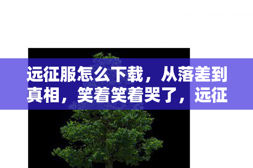 远征服怎么下载，从落差到真相，笑着笑着哭了，远征私服竟让我如此上头