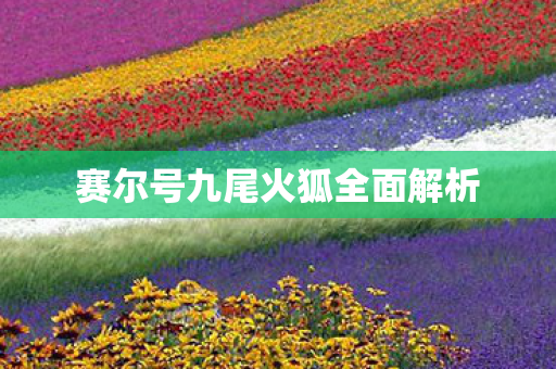 赛尔号九尾火狐全面解析图片