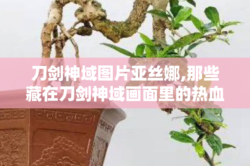 刀剑神域图片亚丝娜,那些藏在刀剑神域画面里的热血与温柔,定格青春记忆的经典图景 刀剑神域图片亚丝娜,那些藏在刀剑神域画面里的热血与温柔,定格青春记忆的经典图景