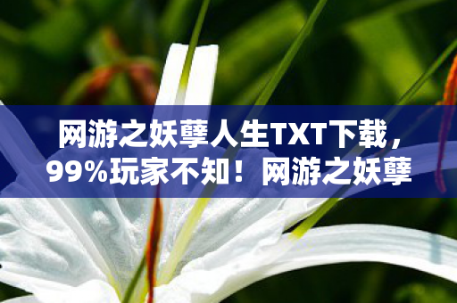 网游之妖孽人生TXT下载,99%玩家不知!网游之妖孽人生隐藏机制竟让菜鸟7天变战神 网游之妖孽人生TXT下载,99%玩家不知!网游之妖孽人生隐藏机制竟让菜鸟7天变战神