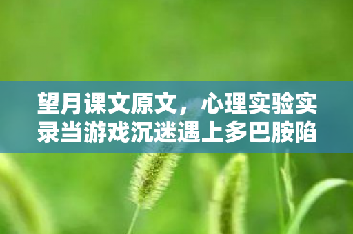 望月课文原文,心理实验实录当游戏沉迷遇上多巴胺陷阱,细思极恐的再来一局机制 望月课文原文,心理实验实录当游戏沉迷遇上多巴胺陷阱,细思极恐的再来一局机制