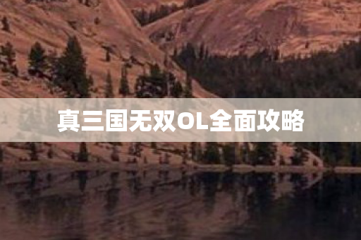 真三国无双OL全面攻略图片