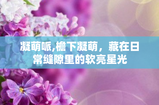 凝萌哌,檐下凝萌，藏在日常缝隙里的软亮星光