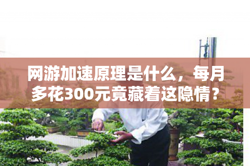 网游加速原理是什么,每月多花300元竟藏着这隐情?网游加速黑幕曝光,吓你一跳! 网游加速原理是什么,每月多花300元竟藏着这隐情?网游加速黑幕曝光,吓你一跳!