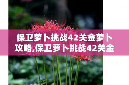 保卫萝卜挑战42关金萝卜攻略,保卫萝卜挑战42关金萝卜稳拿攻略，零失误满星通关指南