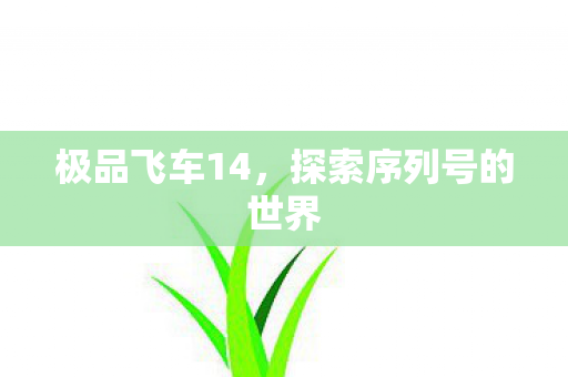 探索序列号的世界图片