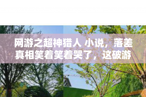 网游之超神猎人 小说，落差真相笑着笑着哭了，这破游戏烂到祖坟冒烟，可我还是点开了登录界面