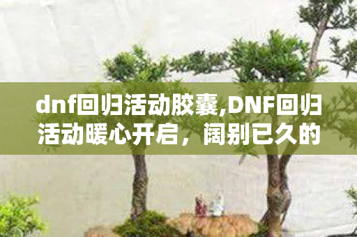 dnf回归活动胶囊,DNF回归活动暖心开启,阔别已久的阿拉德,为老勇士备好了专属返乡礼 dnf回归活动胶囊,DNF回归活动暖心开启,阔别已久的阿拉德,为老勇士备好了专属返乡礼