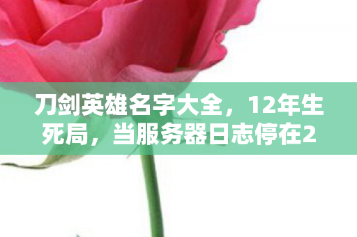 刀剑英雄名字大全,12年生死局,当服务器日志停在2038年4月1日,全服玩家集体验尸报告 刀剑英雄名字大全,12年生死局,当服务器日志停在2038年4月1日,全服玩家集体验尸报告