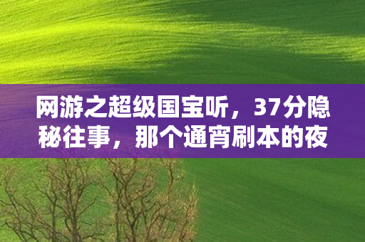 网游之超级国宝听，37分隐秘往事，那个通宵刷本的夜晚，我哽咽着说再见