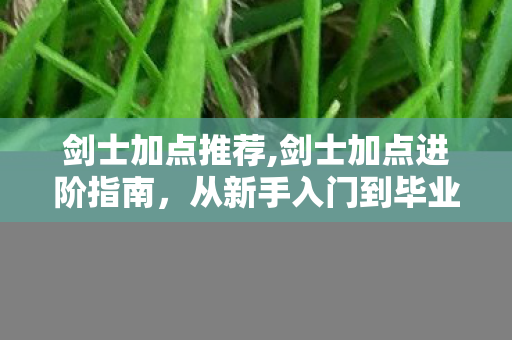 剑士加点推荐,剑士加点进阶指南，从新手入门到毕业配点全思路