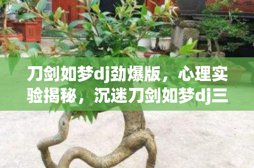 刀剑如梦dj劲爆版，心理实验揭秘，沉迷刀剑如梦dj三年，细思极恐的自我囚禁