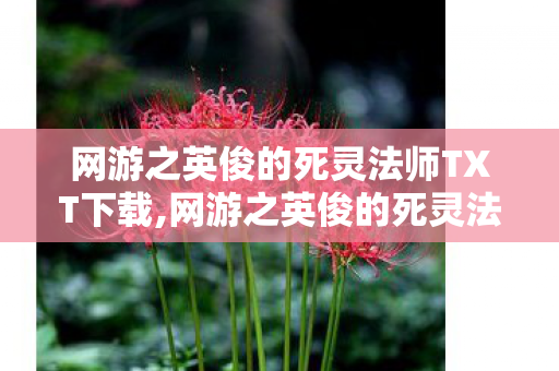 网游之英俊的死灵法师TXT下载,网游之英俊的死灵法师,打破职业刻板印象的奇幻冒险之旅 网游之英俊的死灵法师TXT下载,网游之英俊的死灵法师,打破职业刻板印象的奇幻冒险之旅