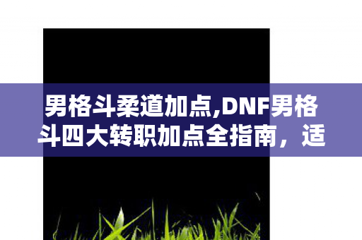 男格斗柔道加点,DNF男格斗四大转职加点全指南，适配多场景的实用搭配思路