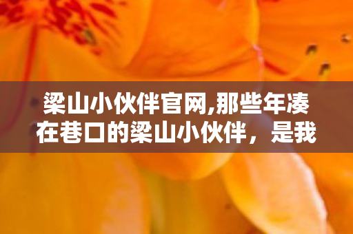 梁山小伙伴官网,那些年凑在巷口的梁山小伙伴，是我们独有的童年江湖