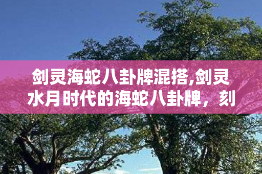 剑灵海蛇八卦牌混搭,剑灵水月时代的海蛇八卦牌，刻在老玩家记忆里的开荒勋章