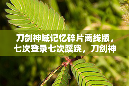 刀剑神域记忆碎片离线版，七次登录七次蹊跷，刀剑神域里后背发凉的十年逃亡