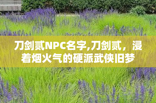 刀剑贰NPC名字,刀剑贰，浸着烟火气的硬派武侠旧梦