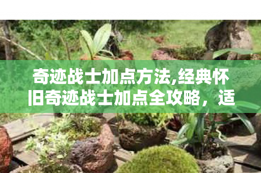 奇迹战士加点方法,经典怀旧奇迹战士加点全攻略，适配不同场景的最优思路解析