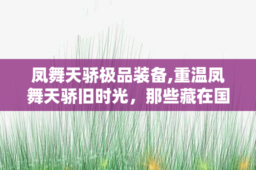 凤舞天骄极品装备,重温凤舞天骄旧时光，那些藏在国风武侠里的青春印记