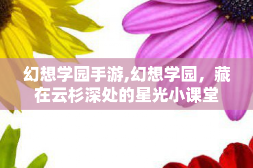 幻想学园手游,幻想学园，藏在云杉深处的星光小课堂