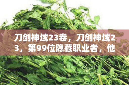 刀剑神域23卷，刀剑神域23，第99位隐藏职业者，他的孤独征途藏着多少心酸？