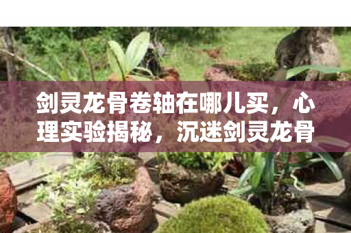剑灵龙骨卷轴在哪儿买,心理实验揭秘,沉迷剑灵龙骨卷轴三年,细思极恐的自我囚禁 剑灵龙骨卷轴在哪儿买,心理实验揭秘,沉迷剑灵龙骨卷轴三年,细思极恐的自我囚禁