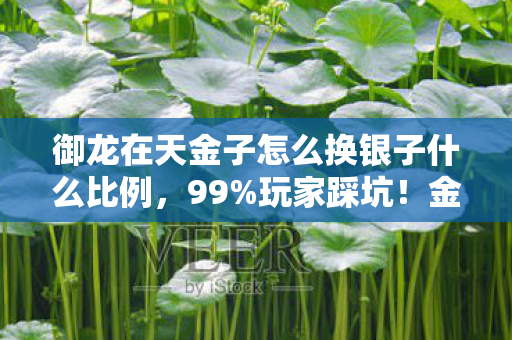 御龙在天金子怎么换银子什么比例,99%玩家踩坑!金子换银子暗藏3大猫腻,这波操作让人直呼上头 御龙在天金子怎么换银子什么比例,99%玩家踩坑!金子换银子暗藏3大猫腻,这波操作让人直呼上头