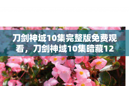 刀剑神域10集完整版免费观看，刀剑神域10集暗藏12重反转！制作组藏了十年的情感核弹终于引爆
