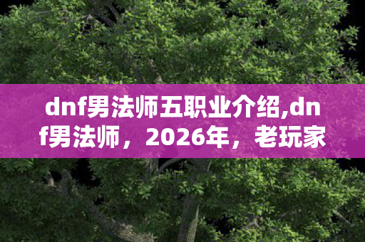 dnf男法师五职业介绍,dnf男法师,2026年,老玩家实测9个版本避坑清单看完直接选? dnf男法师五职业介绍,dnf男法师,2026年,老玩家实测9个版本避坑清单看完直接选?