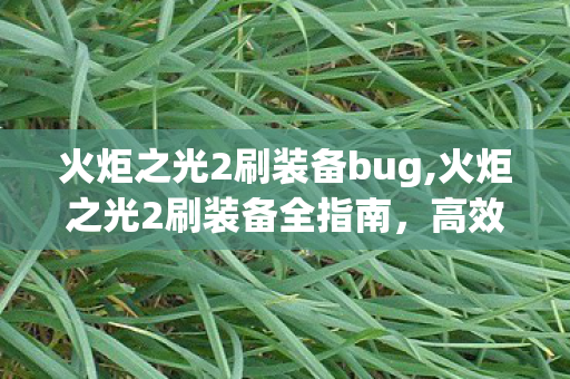 火炬之光2刷装备bug,火炬之光2刷装备全指南,高效养成不踩坑的实用技巧 火炬之光2刷装备bug,火炬之光2刷装备全指南,高效养成不踩坑的实用技巧