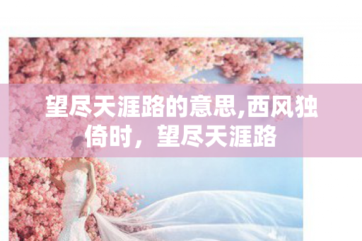 望尽天涯路的意思,西风独倚时，望尽天涯路