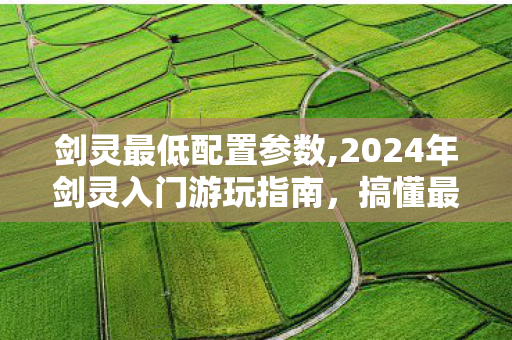 剑灵最低配置参数,2024年剑灵入门游玩指南，搞懂最低配置旧电脑也能流畅跑