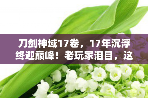 刀剑神域17卷，17年沉浮终迎巅峰！老玩家泪目，这波更新让我心脏炸裂！