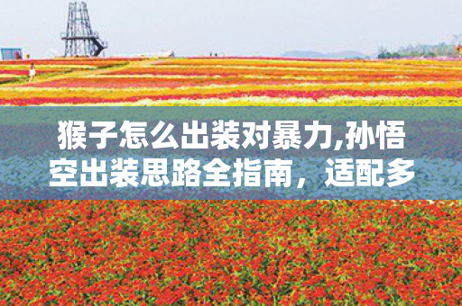 猴子怎么出装对暴力,孙悟空出装思路全指南，适配多场景轻松打出爆炸输出