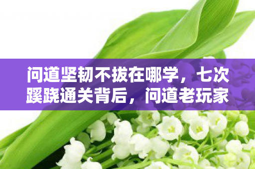 问道坚韧不拔在哪学,七次蹊跷通关背后,问道老玩家后背发凉的真相竟是…… 问道坚韧不拔在哪学,七次蹊跷通关背后,问道老玩家后背发凉的真相竟是……
