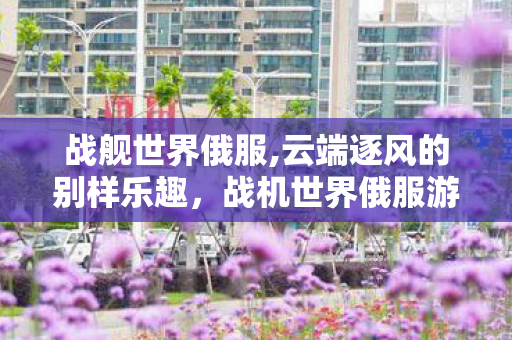 战舰世界俄服,云端逐风的别样乐趣，战机世界俄服游玩体验谈
