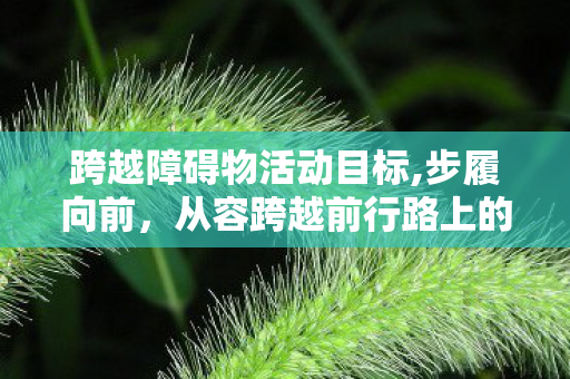 跨越障碍物活动目标,步履向前，从容跨越前行路上的每一处障碍物
