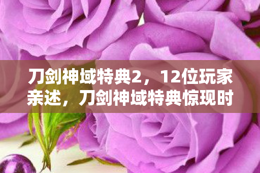 刀剑神域特典2，12位玩家亲述，刀剑神域特典惊现时间悖论？这操作我直接绷不住了！