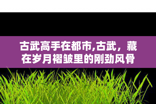 古武高手在都市,古武，藏在岁月褶皱里的刚劲风骨