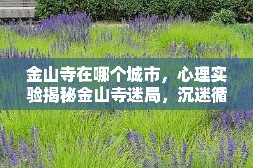 金山寺在哪个城市,心理实验揭秘金山寺迷局,沉迷循环下的细思极恐多巴胺陷阱 金山寺在哪个城市,心理实验揭秘金山寺迷局,沉迷循环下的细思极恐多巴胺陷阱