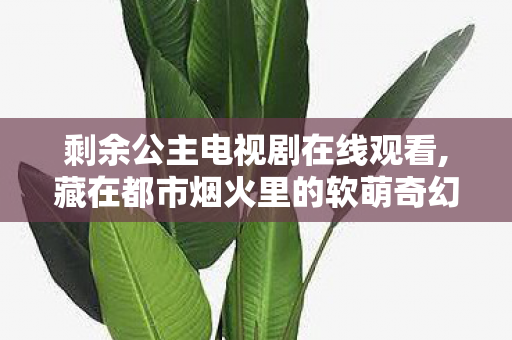 剩余公主电视剧在线观看,藏在都市烟火里的软萌奇幻小品