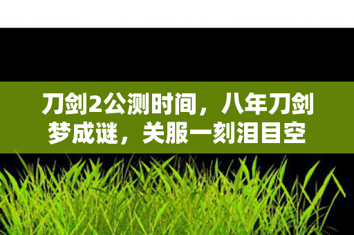 刀剑2公测时间，八年刀剑梦成谜，关服一刻泪目空